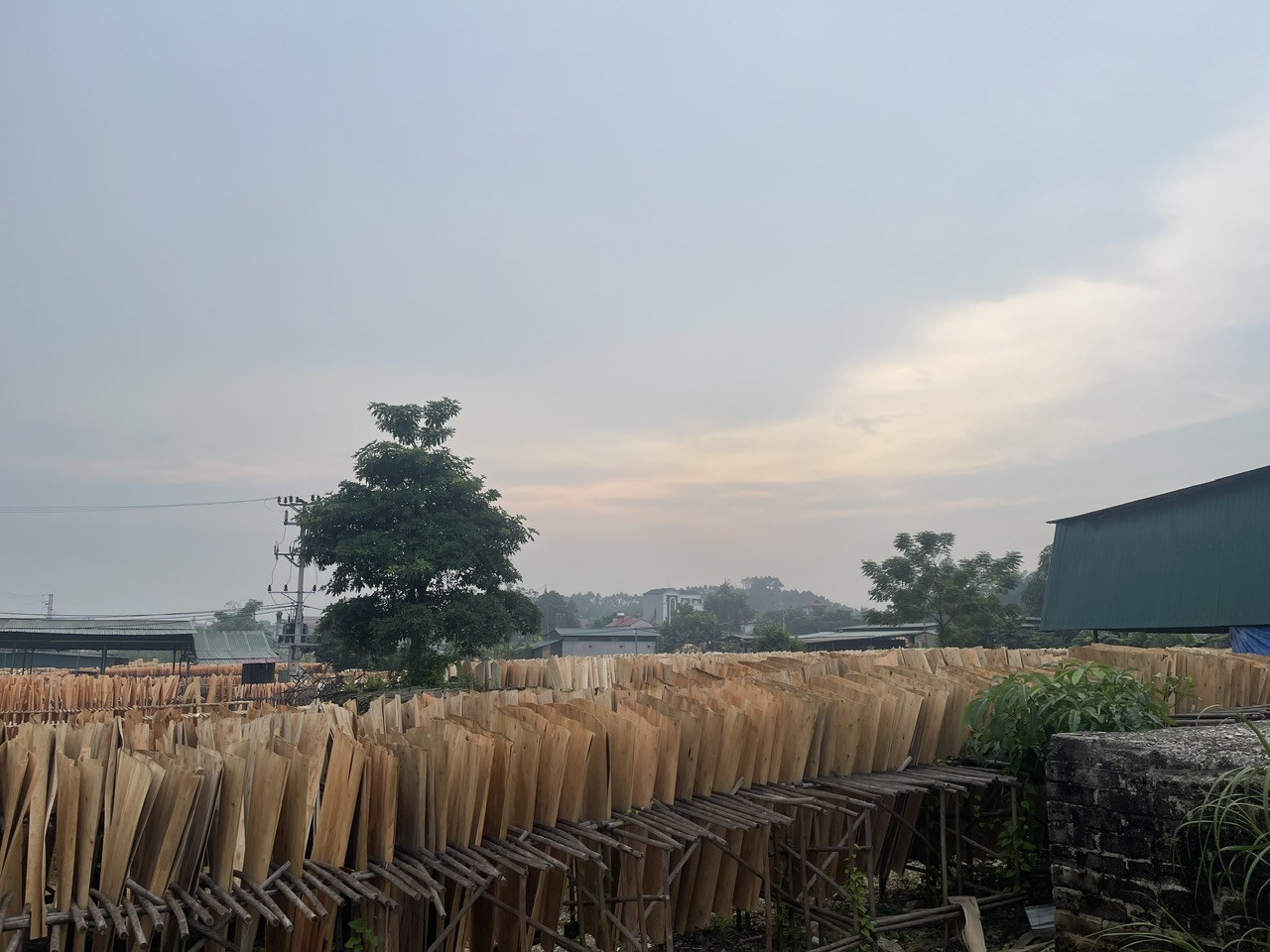 Zantra Global Export Overview